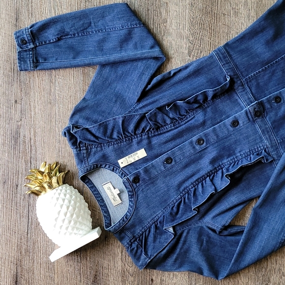 NWT! Madewell Denim Ruffle-Front Style Dress - Picture 2 of 12